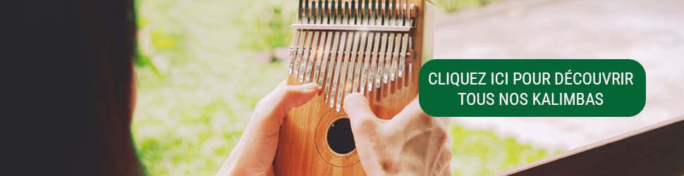 Bannière pour une collection de Kalimbas